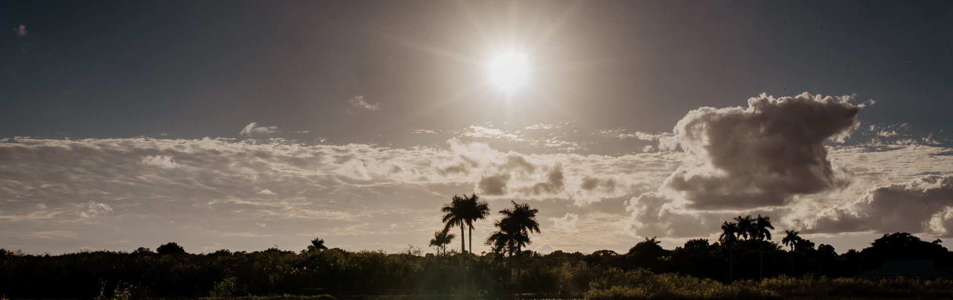 Everglades